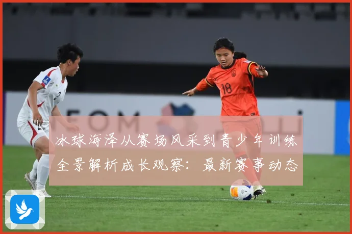 冰球海泽从赛场风采到青少年训练全景解析成长观察：最新赛事动态与深度分析